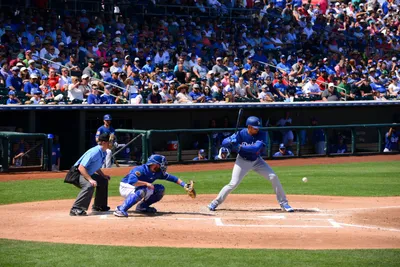 DSC_1769 (Large).JPG